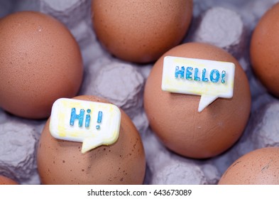 Communication Between Eggs Chat Concept
