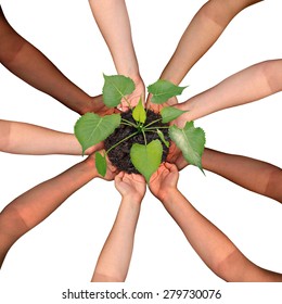 Community Collaboration And Cooperation Concept And Social Crowdfunding Investment Symbol As A Group Of Diverse Hands Organized In A Circular Formation Nurturing A Growing Sapling Tree.