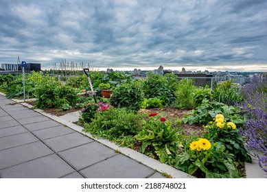 A Community Garden On The Rooftop Of A Vancouver, BC Condo Building