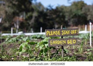 A Community Garden Plot With Warning Sign In Central Melbourne In Victoria, Australia