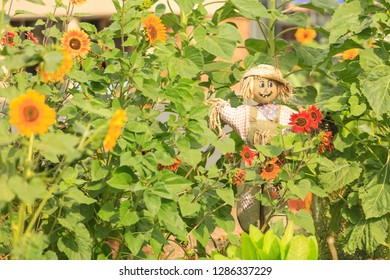 Community Garden Project, Downtown Moses Lake, WA State, USA