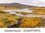 The Community owned Isle of Ulva in Autumn taken from the Ulva Pontoon on the Isle of Mull, Scotland at low tide with golden seaweed and moored boats. Horizontal.  Space for copy.