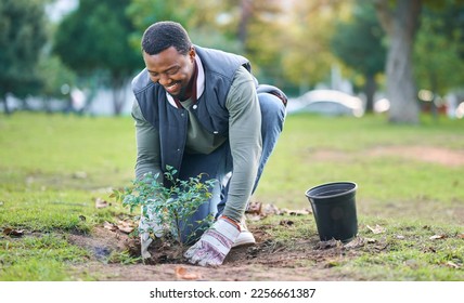 Community service  volunteering   black man plant trees in park  garden   nature for sustainability  Climate change  soil gardening   agriculture for earth day  growth support   green ecology
