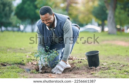 Community service, volunteering and black man plant trees in park, garden and nature for sustainability. Climate change, soil gardening and agriculture for earth day, growth support and green ecology