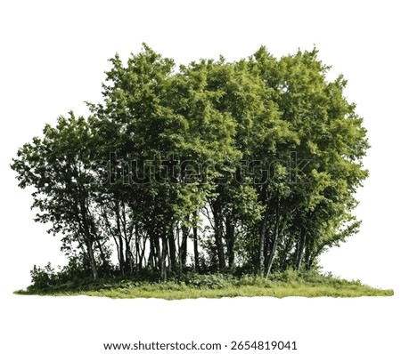 A compact cluster of green trees forming a small grove isolated on white background, perfect for architectural visualization, landscape design, and environmental concepts