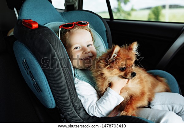 companion dog sitting in the car. Pomeranian dog\
in the car in the hands of a little girl. The girl in the car seat\
holding a puppy. Dog man\
friend