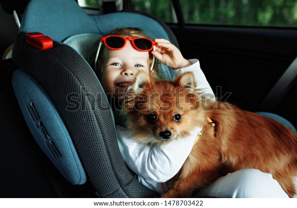 companion dog sitting in the car. Pomeranian dog\
in the car in the hands of a little girl. The girl in the car seat\
holding a puppy. Dog man\
friend