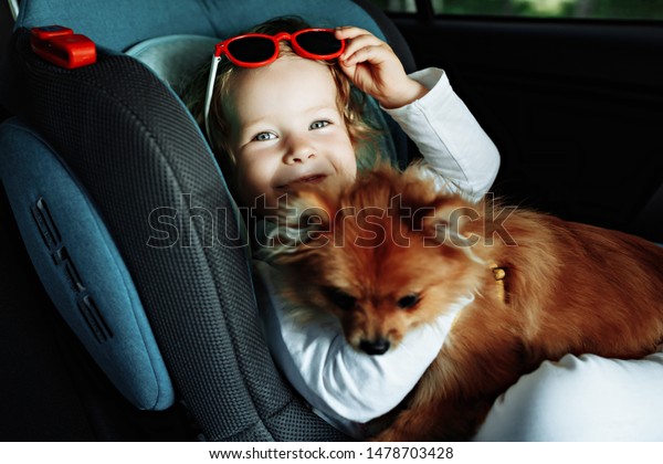 companion dog sitting in the car. Pomeranian dog
in the car in the hands of a little girl. The girl in the car seat
holding a puppy. Dog man
friend