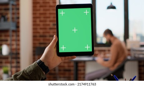 Company employee holding digital tablet with greenscreen in startup office, using isolated copyspace with mockup background and blank chroma key. Looking at digital web app on device. - Shutterstock ID 2174911763