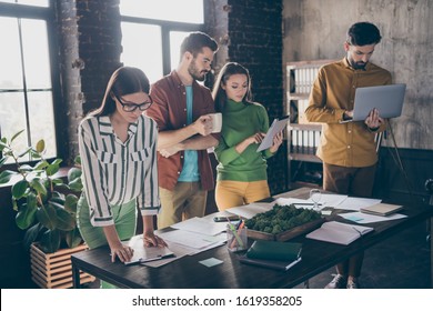 Company Of Four Nice Attractive Skilled Professional Focused Busy Serious People Partners Leaders Preparing Report Plan Financial Strategy At Work Place Station Office Indoors