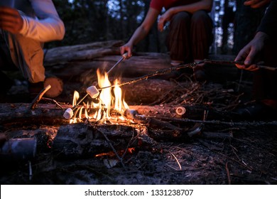 Company of friends fries delicious marshmallows on a bonfire, on a warm summer evening in the woods. - Powered by Shutterstock