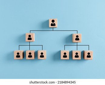 Company hierarchical organizational chart of wooden cubes on blue background. Human resources management and business concept - Shutterstock ID 2184894345