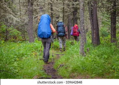 Company Of Young People Are Hiking In Altai Mountains