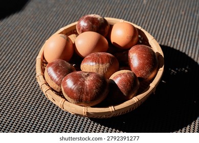    A comparative display of Daemyeong Wangbam, an exceptionally large Korean chestnut variety, placed alongside standard brown eggs to emphasize their massive size. The premium giant chestnuts and eggs are beautifully arranged in a traditional woven bamboo basket under strong, natural sunlight, highlighting the glossy brown shells and rough textures of the chestnuts. One image features a human hand holding a chestnut and an egg together, providing a clear and striking sense of scale for these extraordinary agricultural products.                            