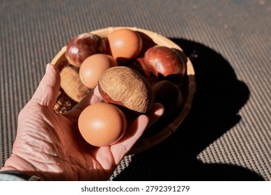    A comparative display of Daemyeong Wangbam, an exceptionally large Korean chestnut variety, placed alongside standard brown eggs to emphasize their massive size. The premium giant chestnuts and eggs are beautifully arranged in a traditional woven bamboo basket under strong, natural sunlight, highlighting the glossy brown shells and rough textures of the chestnuts. One image features a human hand holding a chestnut and an egg together, providing a clear and striking sense of scale for these extraordinary agricultural products.                            