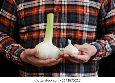 Comparing the size of elephant garlic to regular garlic, placed on the palm of the hands.