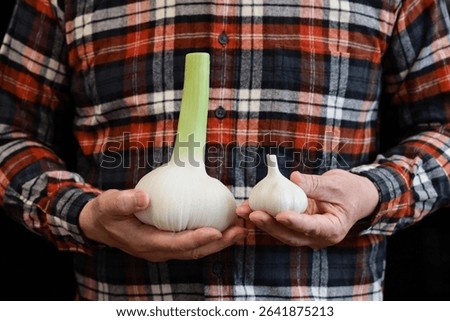 Comparing the size of elephant garlic to regular garlic, placed on the palm of the hands.
