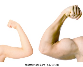 Comparison Of Muscle Strength Of The Child And Adult