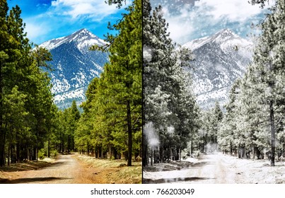 Comparison Photo Of The Same Scene In Flagstaff Arizona In The Summer And The Winter Seasons