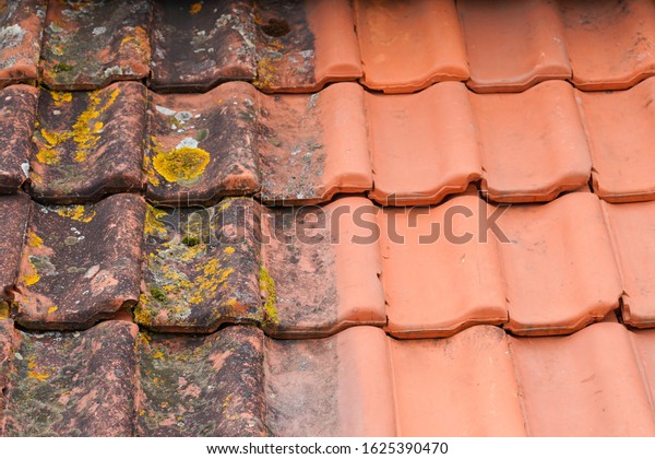Comparison roof top before and after\
cleaning moss lichen high pressure water cleaner\
tile