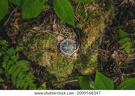 Compass in the forest, against the background of moss and tree leaves