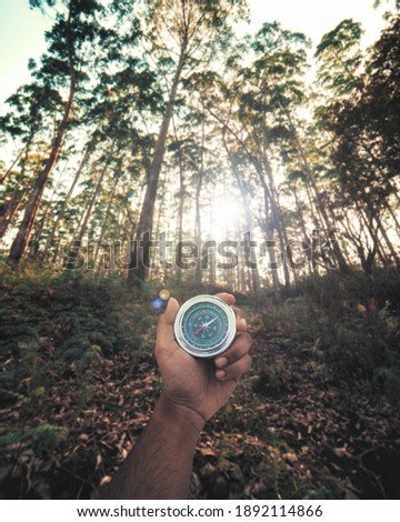 compass guiding in lost forest