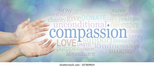 Compassion Banner Wide Banner Womans Hands Stock Photo (Edit Now) 337409819