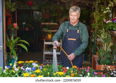 Competent gardener watering flowers as plant care in the nursery - Powered by Shutterstock