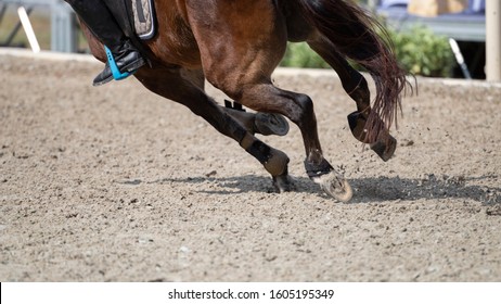 Competition Of Horse Jumping Over Obstacles. Show Jumping Close Up Image. Horse Rider Jumping Over Hurdle On Competition.
