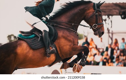 competitor and his horse jumping at an equestrian contest