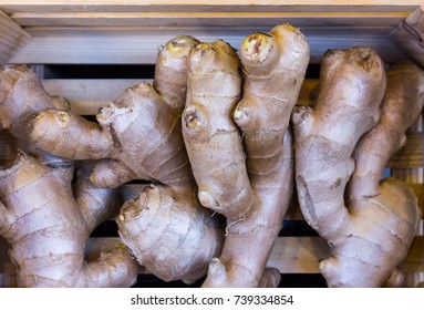 Complete Roots Of Spicy Common Turmeric Ginger, Curcuma, Fingerroot In A Wooden Box