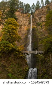 Complete view of both tiers of the Multnomah waterfall and the bridge between them located at Multnomah Creek in the Columbia River Gorge, Oregon
