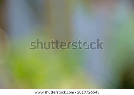 A completely defocused abstract background featuring soft, smooth gradients of green, blue, and gray tones. This elegant bokeh effect creates a dreamy, tranquil atmosphere with seamless color transitions. Offering abundant blank space, this beautifully blurred texture is an ideal versatile backdrop for modern web design, digital art, presentations, and calming conceptual layouts.