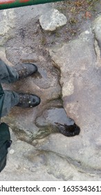 Completely Soaked Shoes On Wet Rock