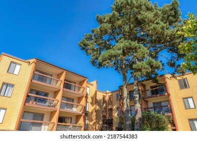 Complex Apartment Building With Balconies And Large Trees At The Front In San Francisco, CA. Apartment Building Exterior With Yellow Wood Shingle Siding And Sliding Glass Door On Its Balconies.