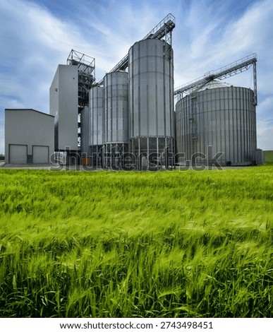 The complex includes metal silos for storage, norias for lifting grain and a working tower