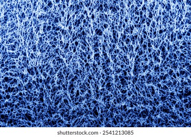 Complex network of interconnected, bright blue lines on a dark blue background. Resembles microscopic views of biological structures, such as neural networks or cellular matrices.