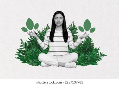 Composite artwork photo collage of relaxed chill chinese lady closed eyes sit forest blooming meditation nature spirit isolated on grey background