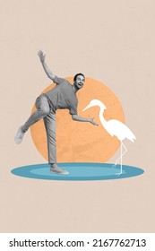 Composite Collage Image Of Excited Carefree Person Black White Gamma Dance Near Drawing Flamingo Bird Shade