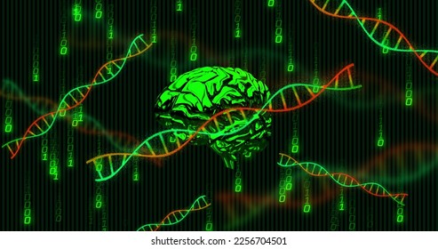 Composite of human brain, dna strands, binary coding and data processing. Global networks, science, computing and data processing concept digitally generated image. - Powered by Shutterstock