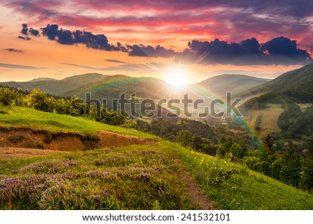 composite mountain landscape. flowers on hillside meadow near village in foggy mountain  forest in sunset light with rainbow 