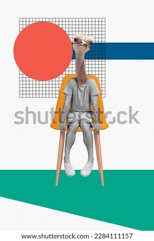 Composite photo artwork collage of headless man ostrich animal watching curious sitting changing room clothes isolated on drawn background
