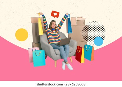 Composite photo collage of funny woman sit in armchair with laptop raising up shopping bags get online order isolated painted background