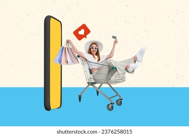 Composite photo collage of happy girl sit in shopping cart hold bags credit card make order on smartphone isolated drawing background