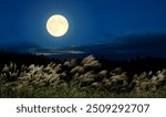 Composite photo of the full moon and pampas grass