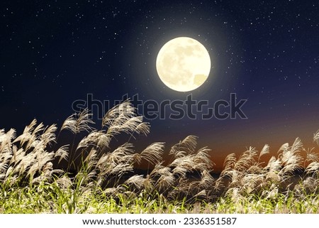 Composite photo of the full moon and pampas grass

