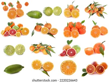 Composite Picture Of Citrus Fruits In Front Of White Background