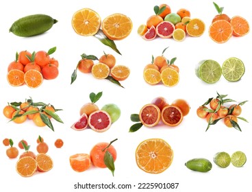 Composite Picture Of Citrus Fruits In Front Of White Background