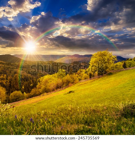 composite rural landscape. fence near the meadow and trees on the hillside. forest in fog on the mountain top in sunset light with rainbow