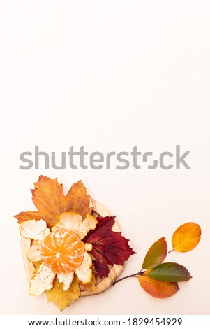 Similar – Autumn leaves with watering can and garden tools